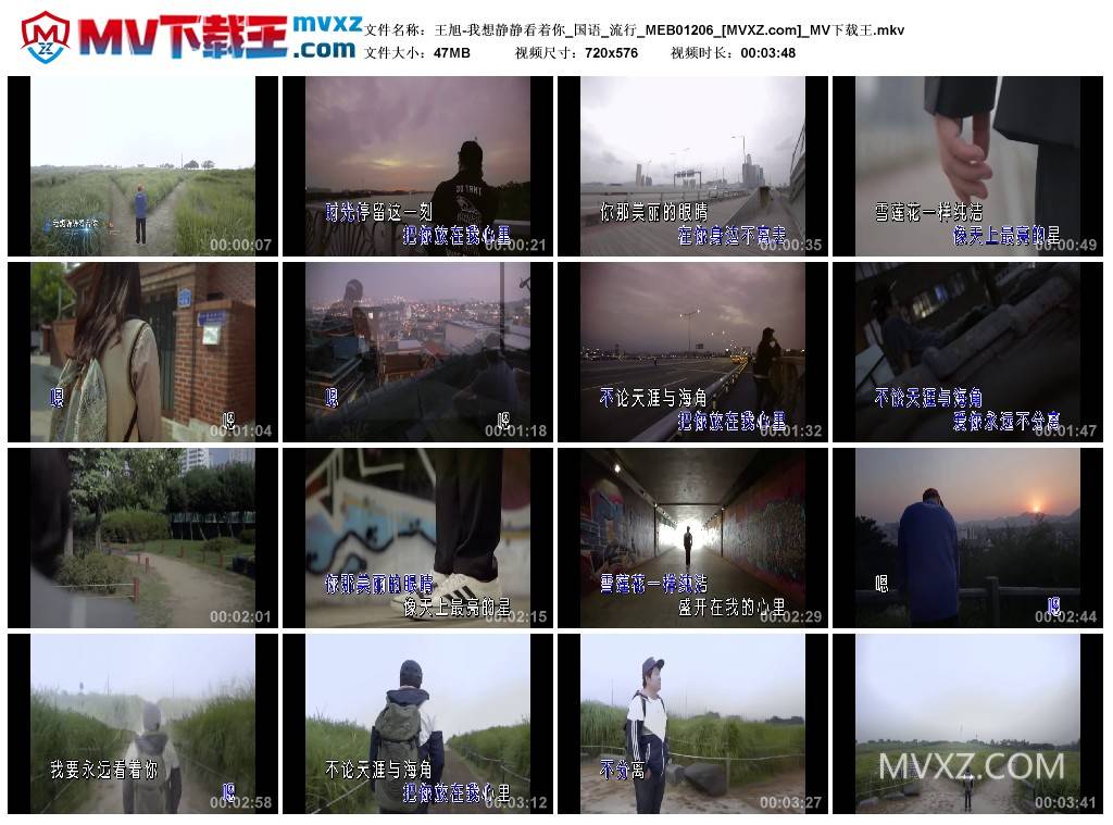 王旭-我想静静看着你_国语_流行_MEB01206